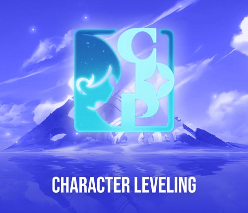 CHARACTER LEVELING BOOST